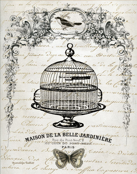 French Birdcage I