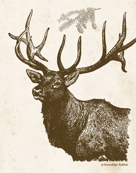 Neutral Deer II