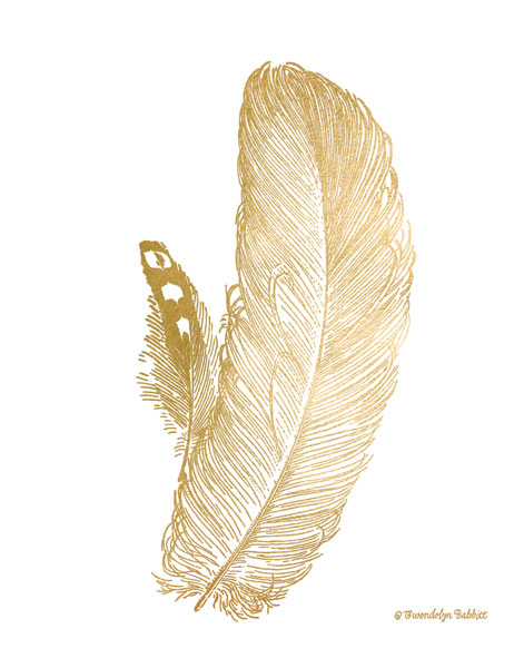 Feather on White I