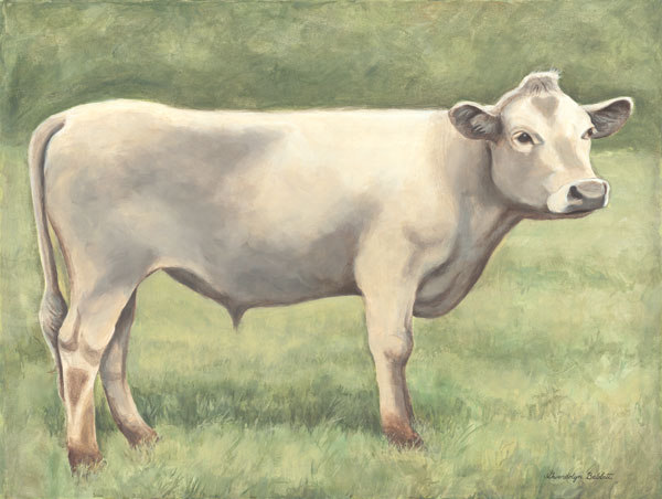 Cow in Field