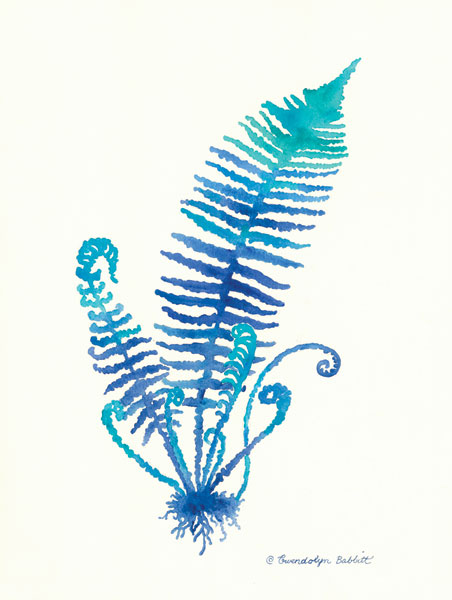 Ombre Fern II