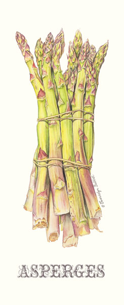 Asperges