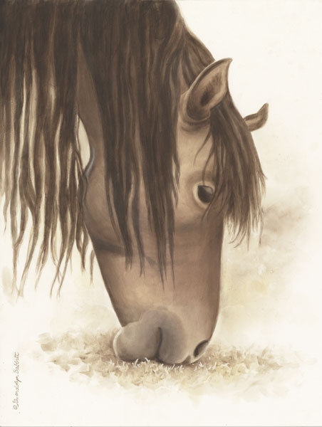 Lovely Brown Horse 