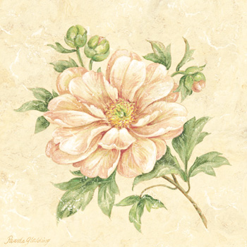 Peony