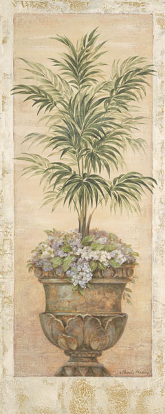 Parlor Palm III