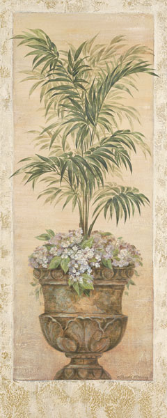 Parlor Palm IV