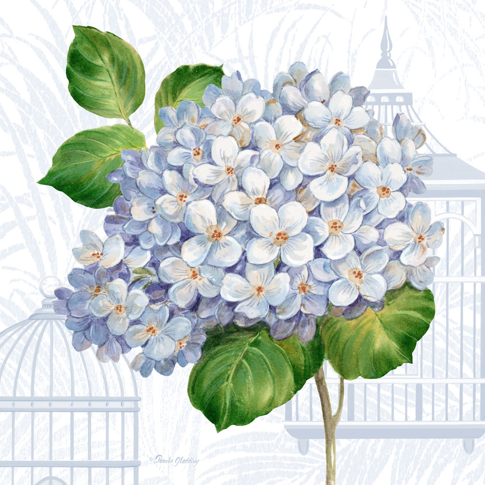 Hydrangea Cages II