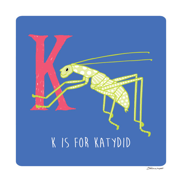 K is for Katydid