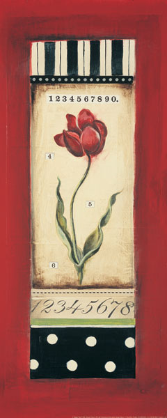 Belgian Tulip II