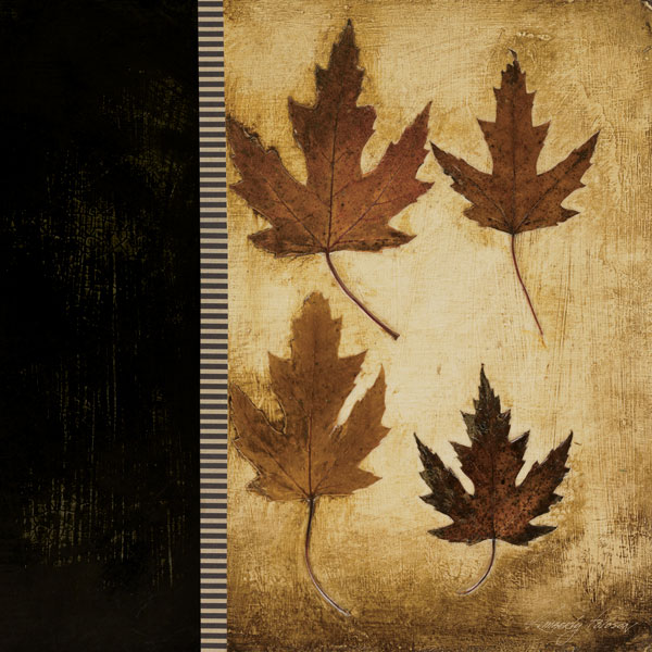 Maple Leaves 4