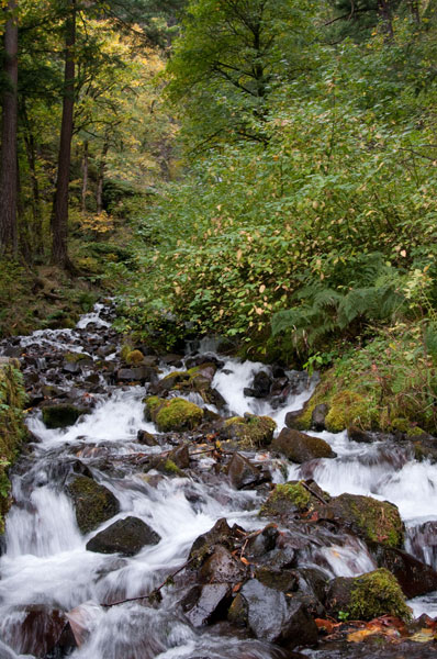 Wahkeena Falls II