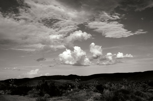 Clouds in Joshua Tree II