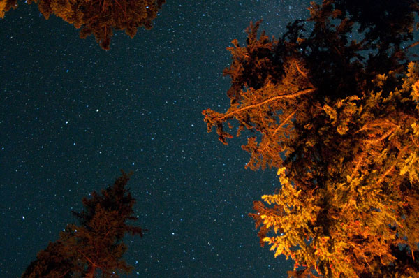 Starry Night II
