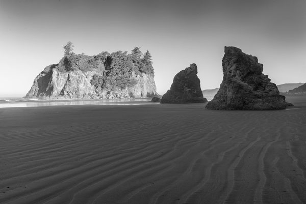 Ruby Beach Morning II BW