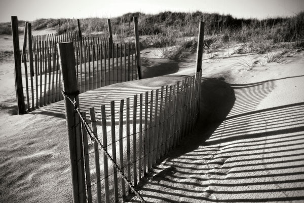 Dunes Fence IV