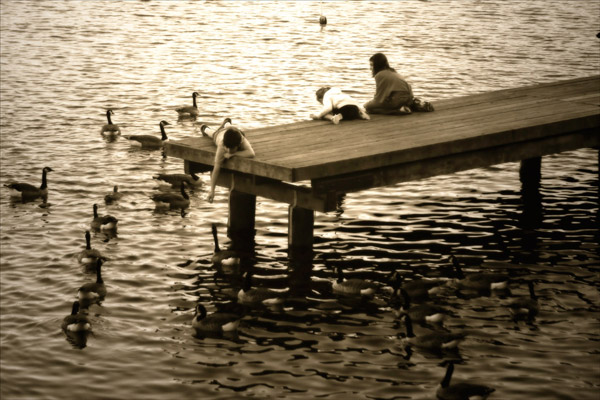 Feeding the Geese I