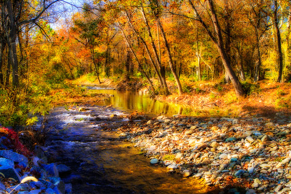 Autumn Waters I