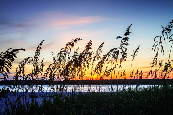 Masonboro Sunset I