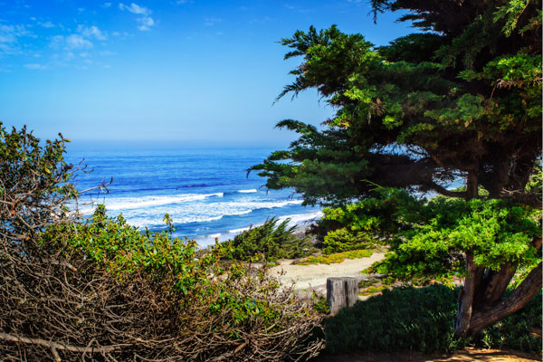 Del Mar Beach II