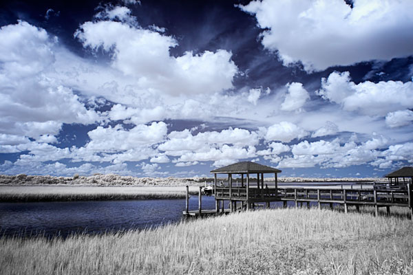 River in the Marsh II