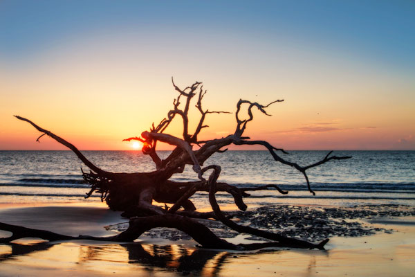 Jekyll Island Sunrise III