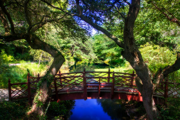 Bridge over Quiet Water