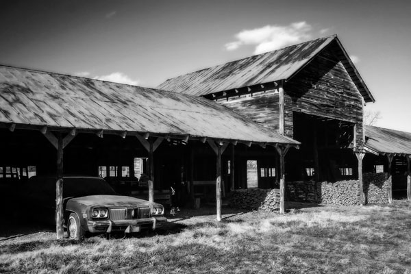 Olds in a Shed