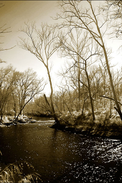 Winter on the Neuse River