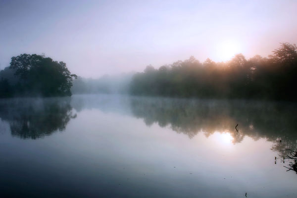 Fog on the Mattaponi 8