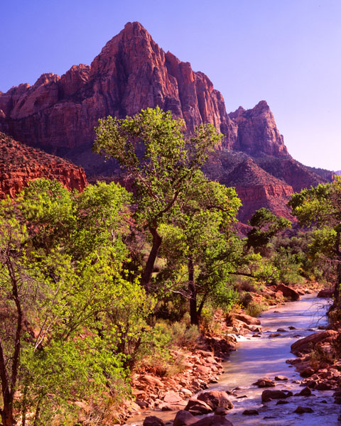 Zion National Park I