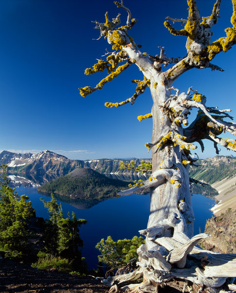 Crater Lake I