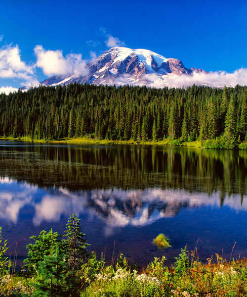 Mt. Rainer II