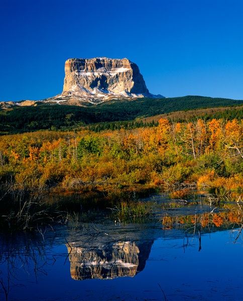 Glacier National Park III 