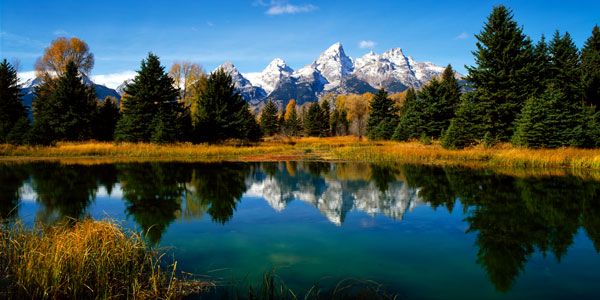 Grand Teton National Park XI