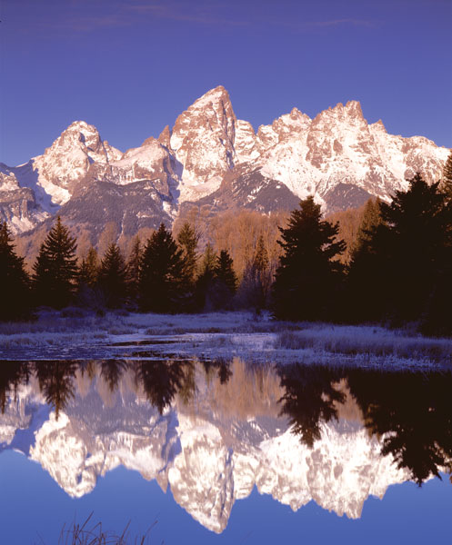 Grand Teton National Park XIII