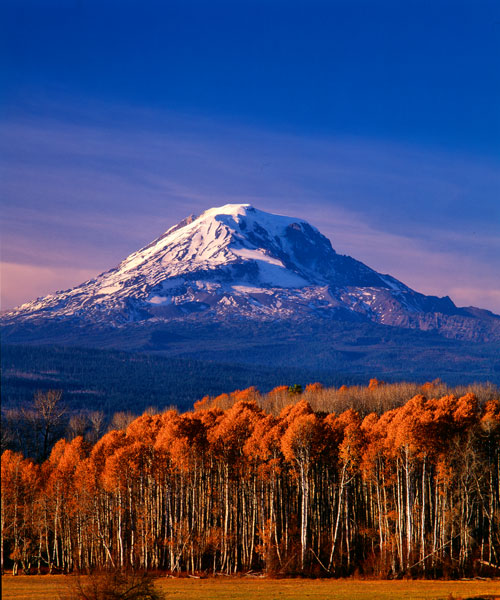 Mt. Adams III