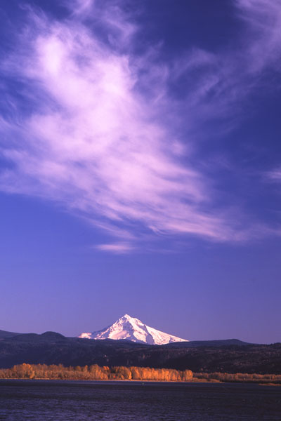 Mt. Hood XVIII