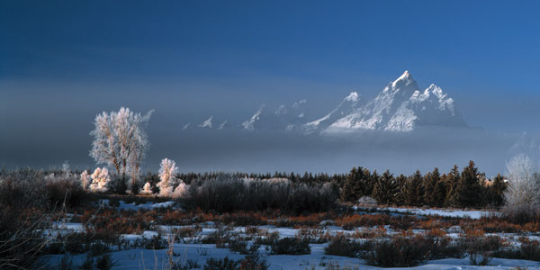 Grand Teton National Park XVII