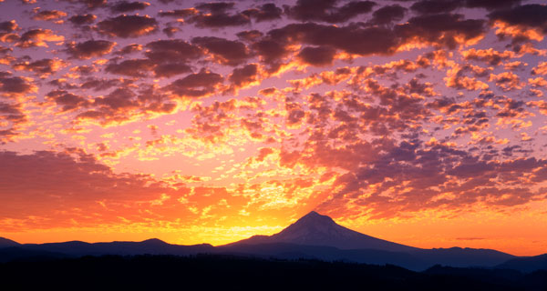 Mt. Hood XXIII