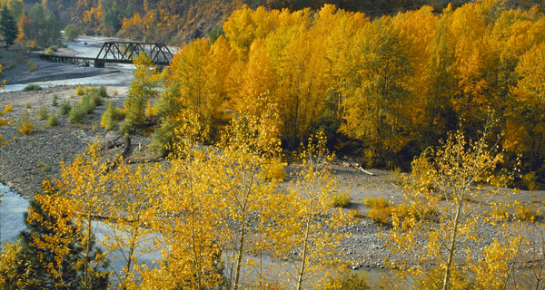 Hood River RR Bridge