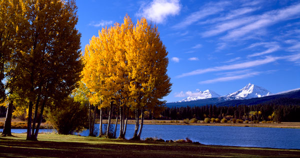 Sisters in Autumn III