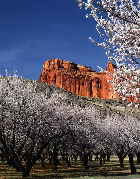 Capitol Reef