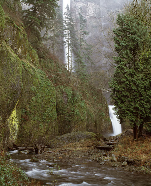 Multnomah Falls Creek Side II