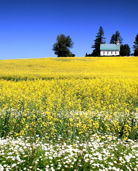 Idaho Church