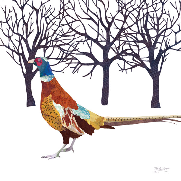 Pheasant