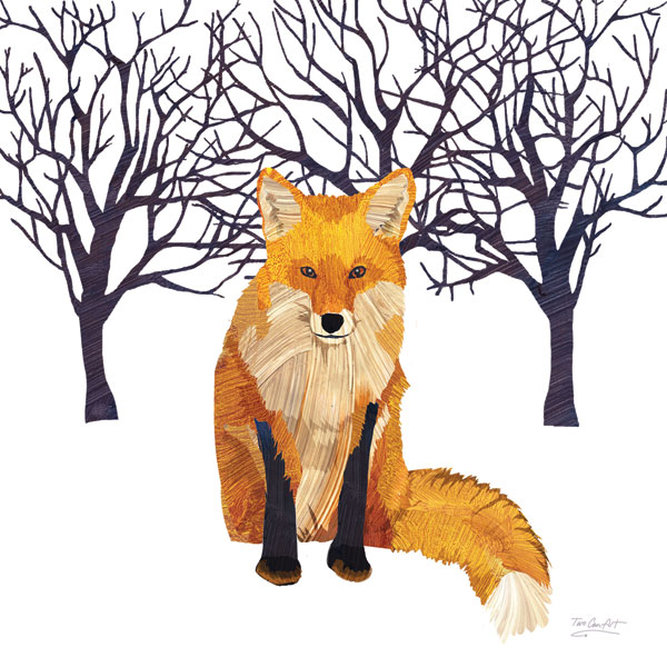 Fox