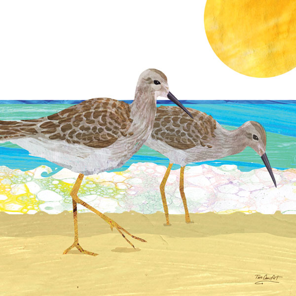 Beach Sandpipers