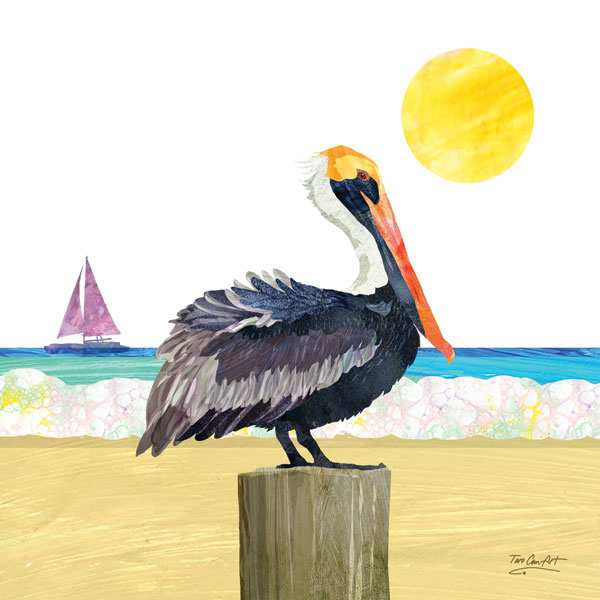 Beach Pelican