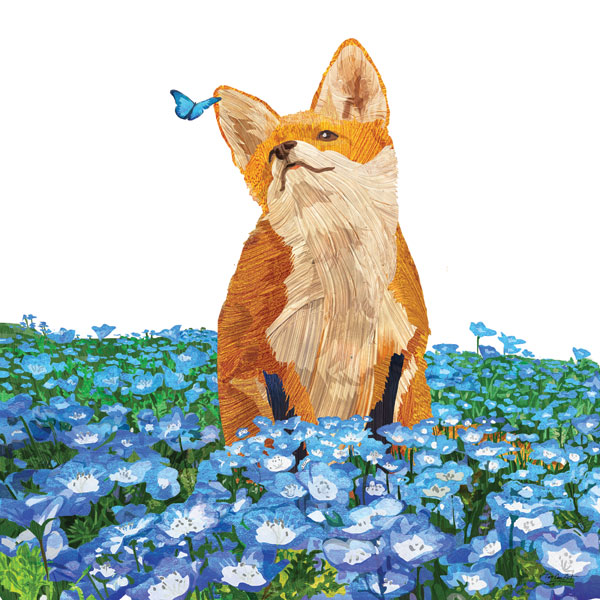 Blue Meadow Fox