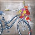 My Bike